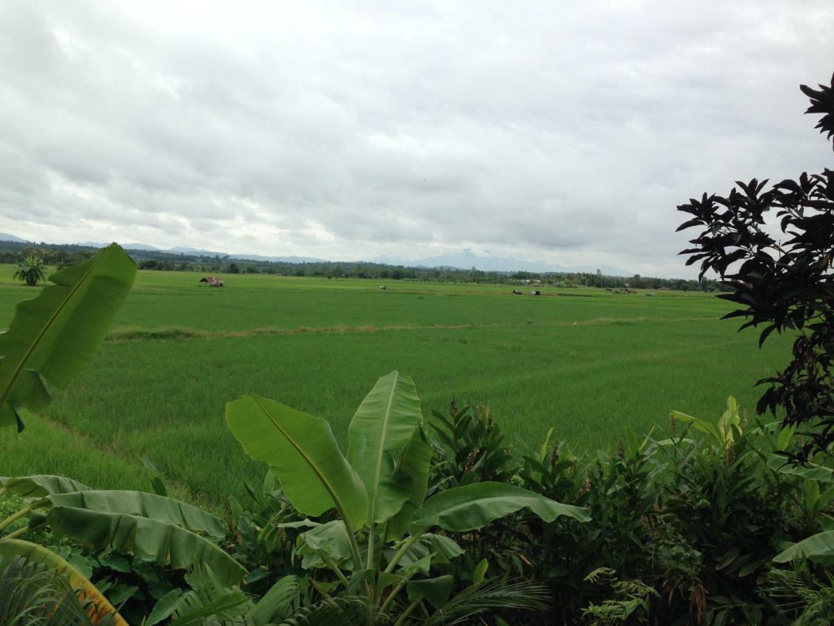 โพธิ์ทองริมทุ่ง Pothong Rimtung Hotel Fang Buitenkant foto